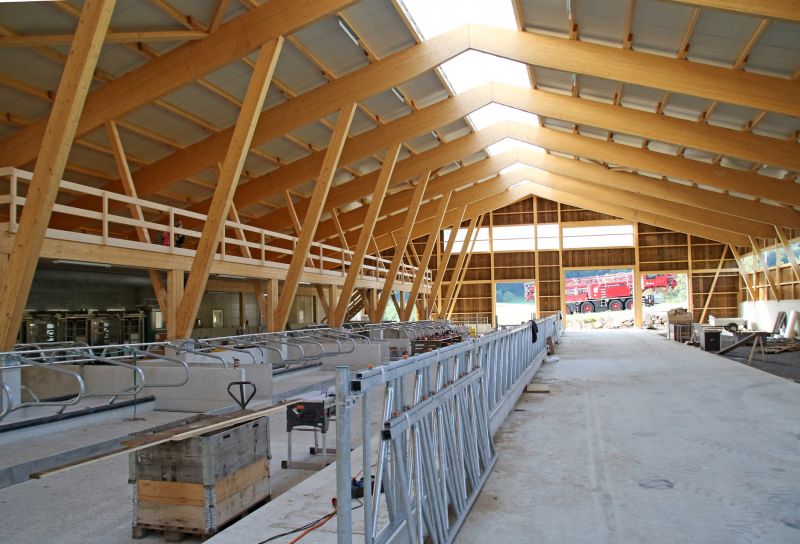 Attic Truss Reinforcement